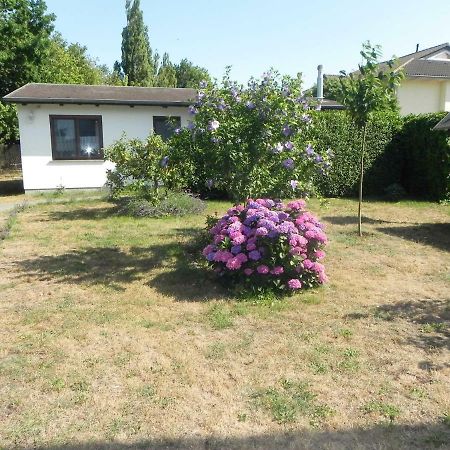 Villa Bungalow _Carpe Diem_ à Heringsdorf  Extérieur photo