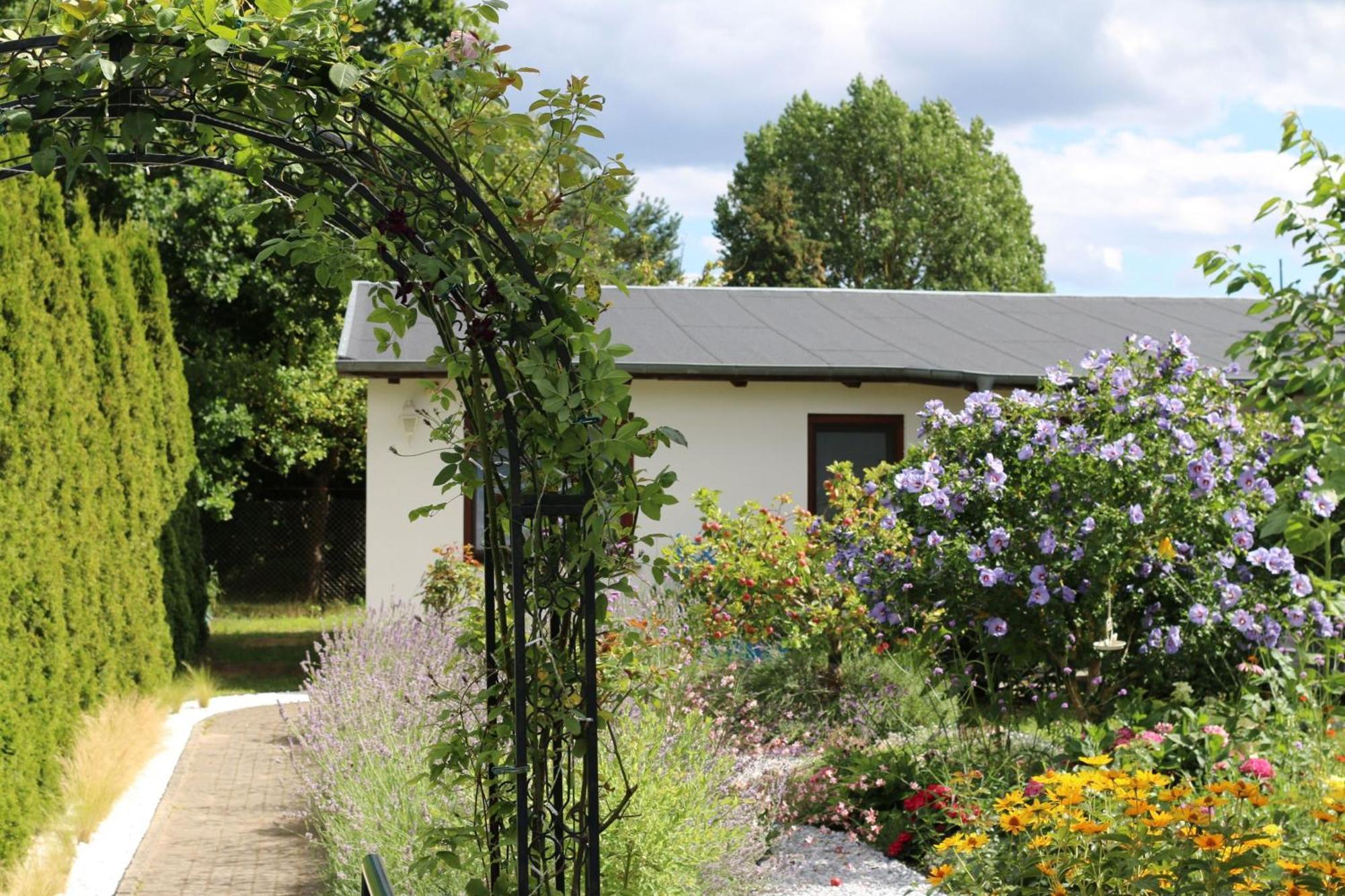 Villa Bungalow _Carpe Diem_ à Heringsdorf  Extérieur photo