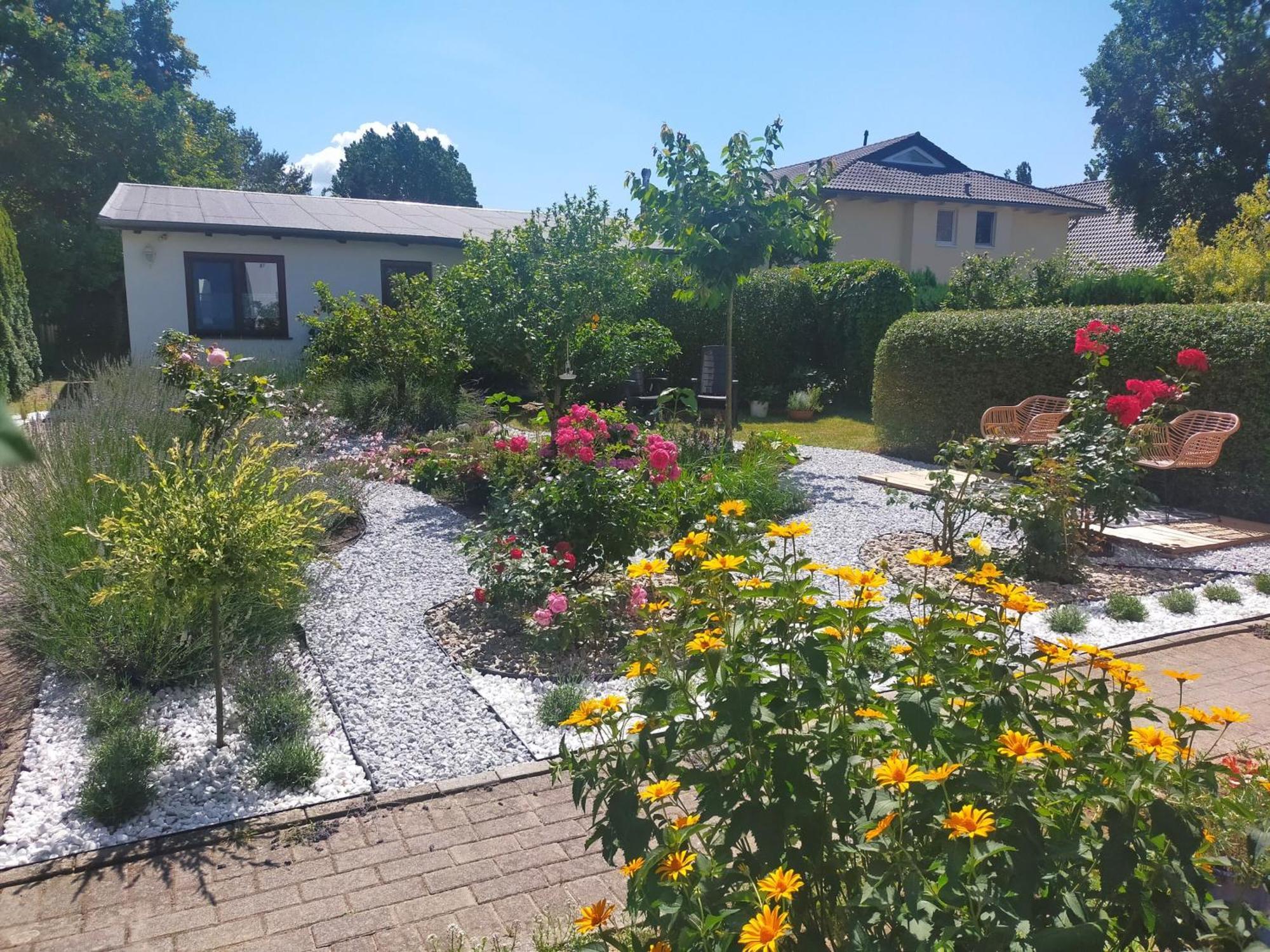 Villa Bungalow _Carpe Diem_ à Heringsdorf  Extérieur photo