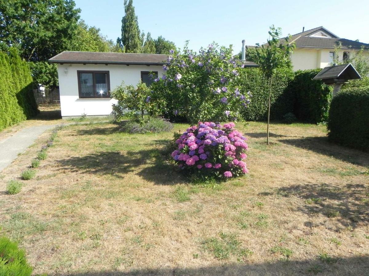 Villa Bungalow _Carpe Diem_ à Heringsdorf  Extérieur photo